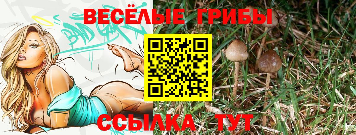 Галлюциногенные грибы ЛСД  Вход с VPN  Киров  Галлюциногенные грибы Psilocybine cubensis 